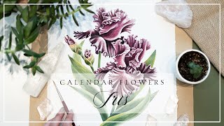 February Iris // Birth Month Flower Watercolor Timelapse