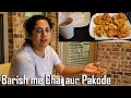 Saare Kaam Chhod Ke Pakode Banane Chali Gayi | Indian Vloggers in Dallas