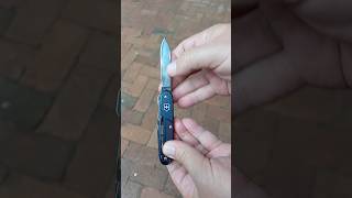 Victorinox Synergy