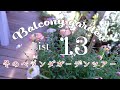 SUB【ガーデニング】春に向けた宿根草のお手入れ/2月のベランダガーデンツアー/寄せ植えの小さな庭/初心者の庭造り/Balcony Garden care for spring/Garden Tour