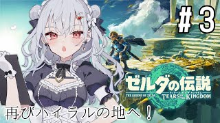 【 ゼルダの伝説 ティアーズ オブ ザ キングダム 】#３ 知性しか感じないJKの寄り道ゼルダ【にじさんじ/葉加瀬冬雪】