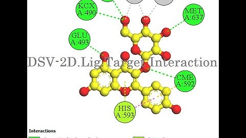Discovery Studio Visualizer 4 (DSV) 2D docking pose & image designing