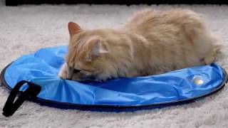 mouse in a pouch cat toy