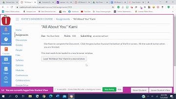 Using Kami in Canvas