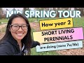 Mid spring flower tour how year 2 perennials are doing zone 7a