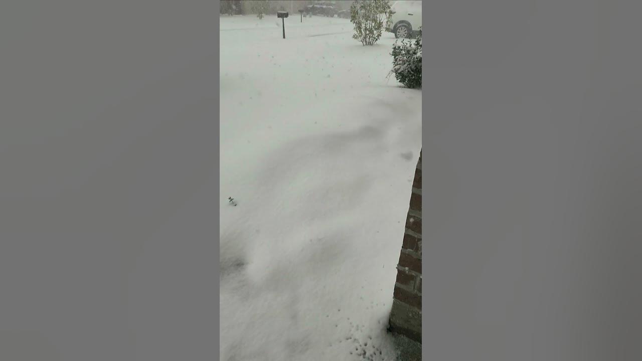 Louisiana Snow 2025 YouTube