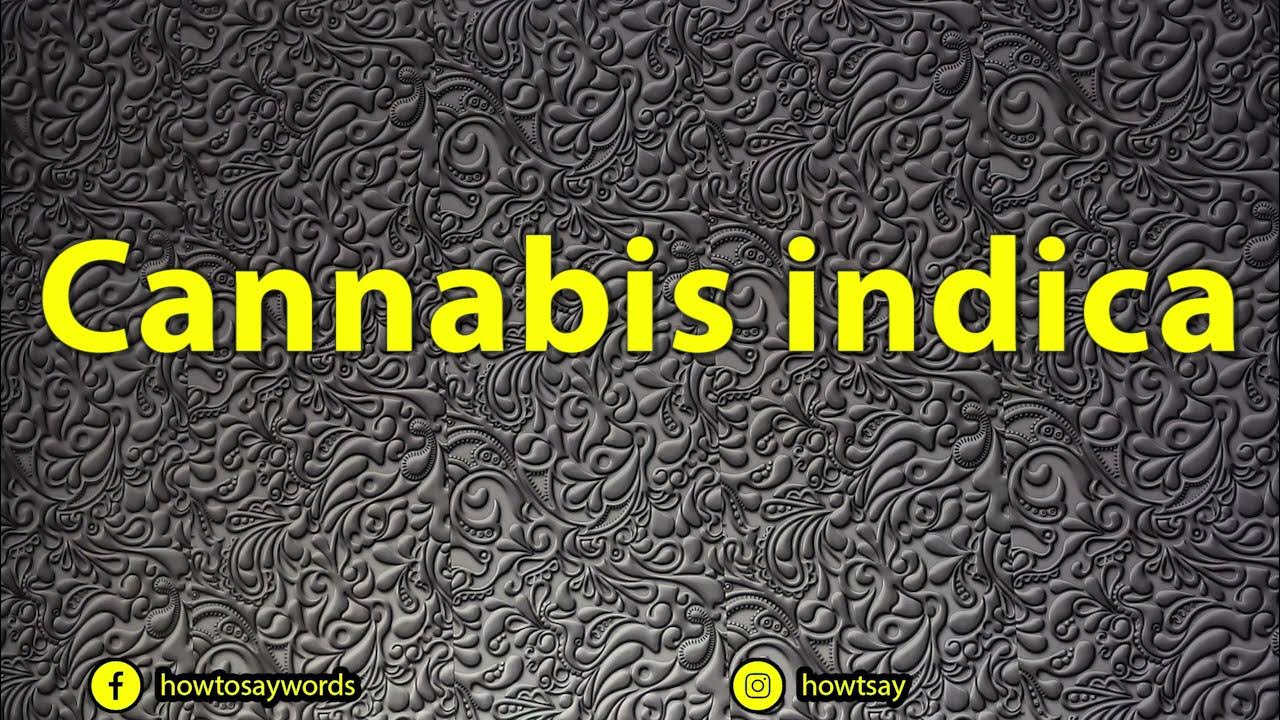 How To Pronounce Cannabis indica YouTube
