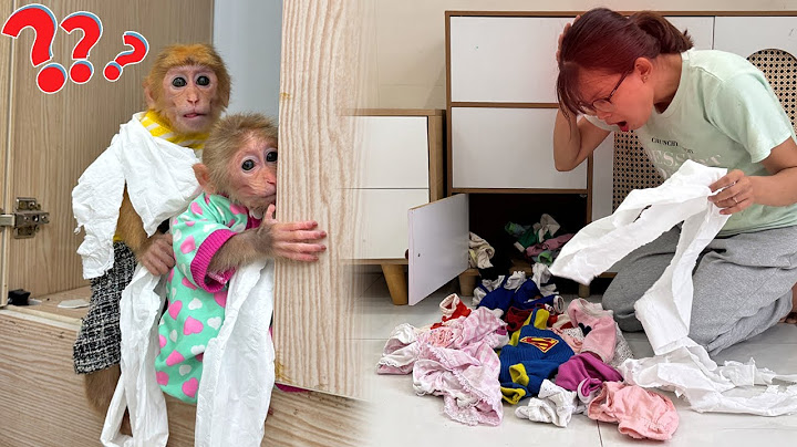 Lucky and Sunny wreak havoc – A heart stopping ending when Mom comes home! Will she lose her temper