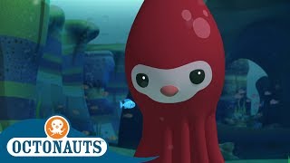#StayHome Octonauts - Leviathan | Compilation | Cartoons for Kids