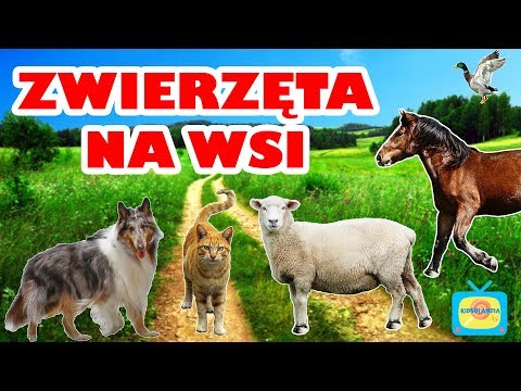 Wideo: Wielkie imiona dla psów z Niemiec