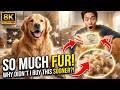 Best Deshedding Tool You’ll Wish You Bought Sooner! Review [MUST WATCH]