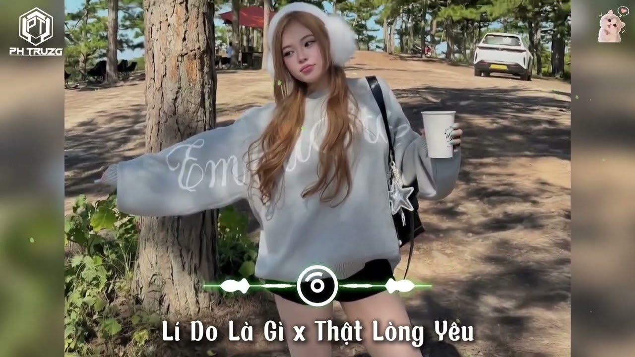 Lí Do Là Gì x Thật Lòng Yêu Remix 2026 - Nguyễn Thạc Bảo Ngọc, Nson #remix 