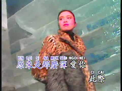 飘雪 Piao Xue (广东) (辉歌 Victory Production - DVD版)