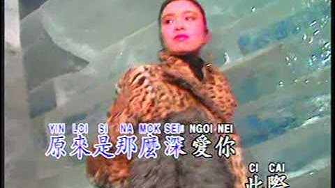 飘雪 Piao Xue (广东) (辉歌 Victory Production - DVD版)