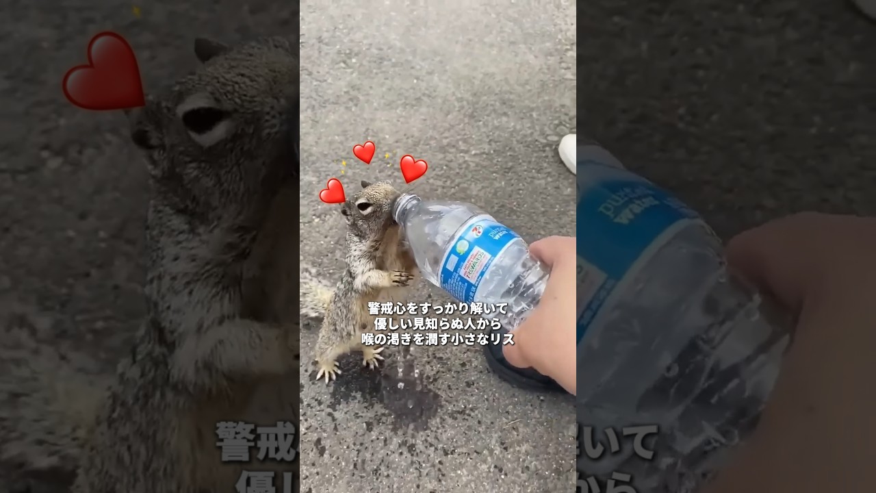 見返りを求めない優しさが生んだ奇跡