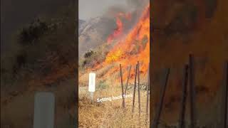 Cal fire setting back fires 🔥 #calfire #firefighter #hero #breakingnews #fire