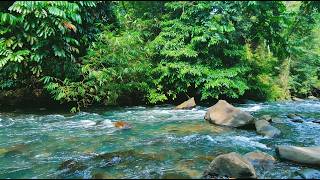 Peaceful Water Stream | No Talking No Music Sleep Aid Cozy Ember ASMR 🌊