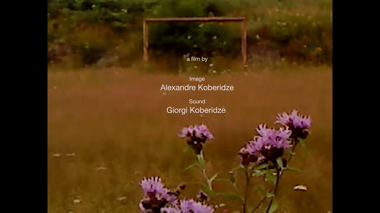 Official Teaser Trailer