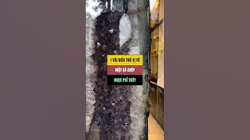 1 vài điều thú vị về mặt cá chép ngọc phỉ thúy #cachep #cachepngocphithuy #ngocphithuy #phongthuy