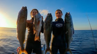 40m+ Visibility & Massive Green Jobfish - Spearfishing On The Great Barrier Reef At Its Best Ep. 29