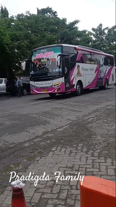 Duet Bus Oranye Sugeng dan Pink Ponorogo Indah