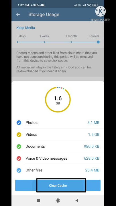 Delete Downloaded Telegram Videos, Files and Other Data in one click
