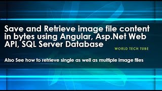 How to save and retrieve image contents in bytes using Angular, Asp.Net Web API and Sql Server DB