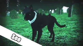 Feral Heart - I Remember You (Part 6 for Kiera TheFox)