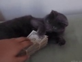 Не трогай! Это мои деньги!
