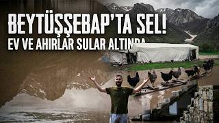 Şırnak'ta sel suları köprüleri yıktı, ev ve ahırlar sular altında kaldı