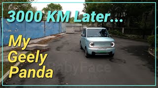 My Geely Panda Mini EV ... 3000 km later  #chinese #ev #car