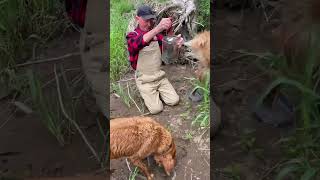 Kid friendly outdoor activities (free and easy). Love, Dad