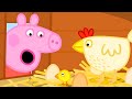 Peppa Pig English Episodes | Peppa Pig Easter Special - Granny Pig's Chickens