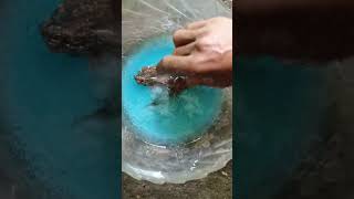 Proses Pengambilan Perak Dari Kaset Vcd Dan Dvd 