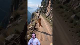 Golden Retriever no pudo salvar al Bus, pero salvó al Chofer ☠️