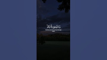 علي جابر | #سورة_هود #قرآن #القرآن_الكريم #قران_كريم #quran