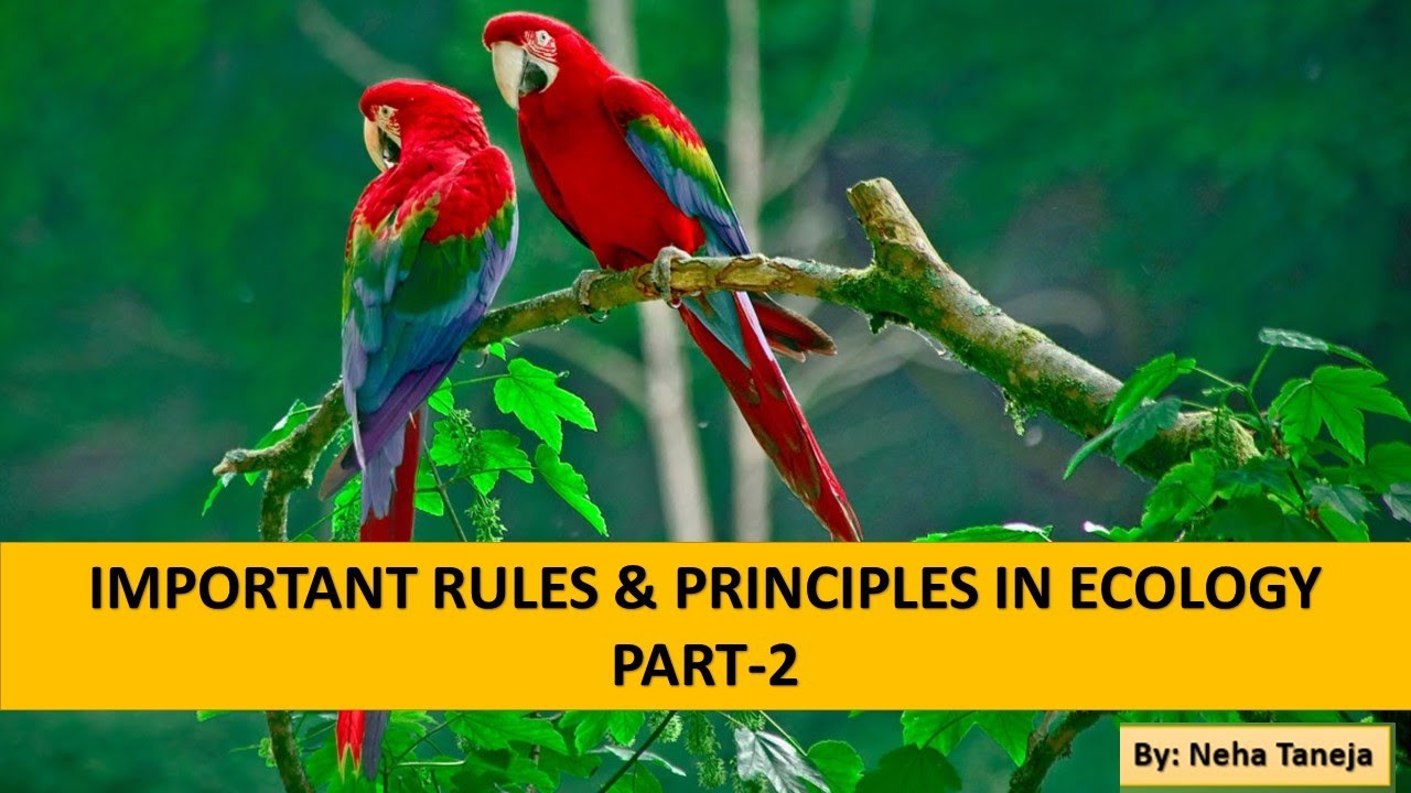 Ecological Rules