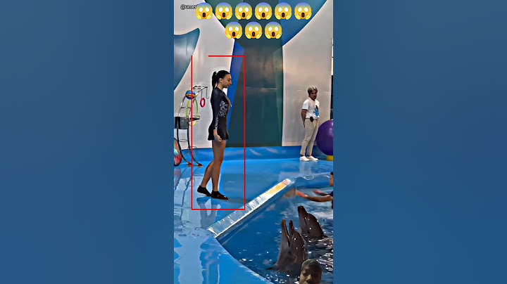 Jab Dolphin trick Me Hui Gadbad (_@umer2m)