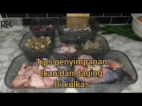 food preparation tips menyimpan daging dan ikan supaya tahan lama