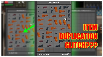 ZERO SIEVERT | Accidental Item Duplication Bug?? |