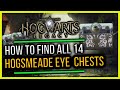 Hogwarts legacy how to make money  find all 14 hogsmeade eye chests