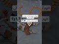 حبيب الماما صار عمرو ست شهور تصميم فيديوهات تصويراطفال كيدز اكسبلور لايك تيك توك 