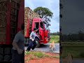 Golden Retriever Stops Truck — Driver Frees Pup from Rope #dog #goldenretriever #rescue #truck #shor