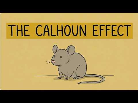 Universe 25 Explained: The Mouse Utopia Experiment That Predicted Societal Collapse