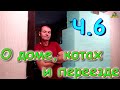 Переезд в Новосибирск ч.6. Что с с кошками. Дом. Причины переезда. И др. (06.22г.) Семья Бровченко.