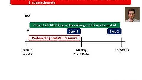 Maximising 3 week in calf rate - Stephen Moore