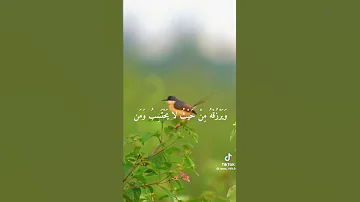 ومن يتق الله 