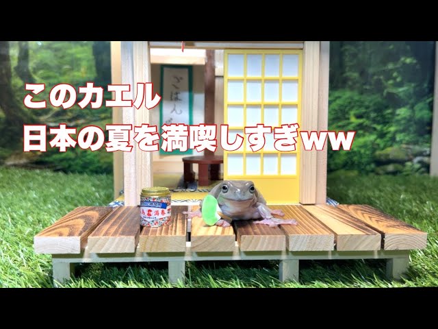 Pyonkichi and general person - YouTube