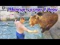 Заманил в бассейн искупаться🐻🏊‍♂️