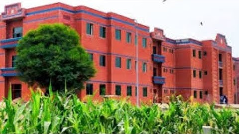 Muhammad Nawaz sharif university of agriculture multan 2021